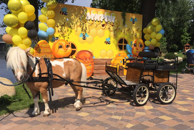 Повозка с пони на прокат в Киеве